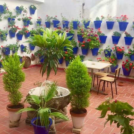 קורדובה Apartamento Toril-Casco Historico מראה חיצוני תמונה